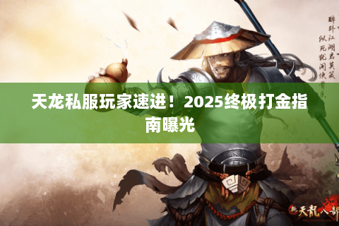 天龙私服玩家速进！2025终极打金指南曝光