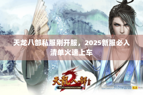 天龙八部私服刚开服，2025新服必入清单火速上车