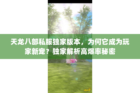 天龙八部私服独家版本，为何它成为玩家新宠？独家解析高爆率秘密