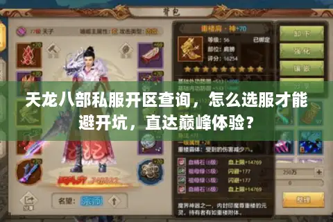 天龙八部私服开区查询，怎么选服才能避开坑，直达巅峰体验？