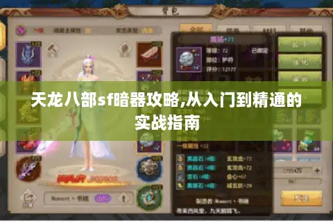 天龙八部sf暗器攻略,从入门到精通的实战指南
