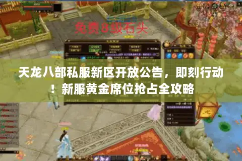 天龙八部私服新区开放公告，即刻行动！新服黄金席位抢占全攻略
