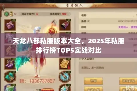 天龙八部私服版本大全，2025年私服排行榜TOP5实战对比