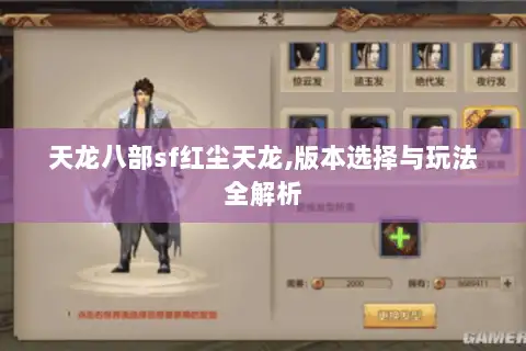 天龙八部sf红尘天龙,版本选择与玩法全解析 天龙八部sf红尘天龙,版本选择与玩法全解析