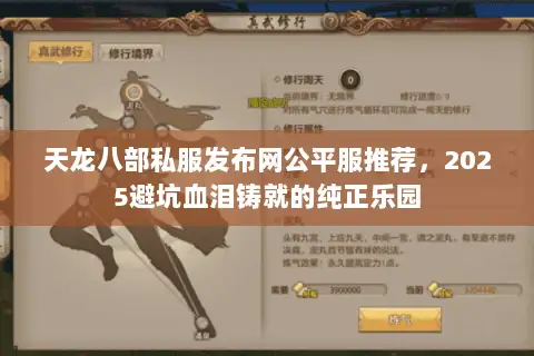 天龙八部私服发布网公平服推荐，2025避坑血泪铸就的纯正乐园
