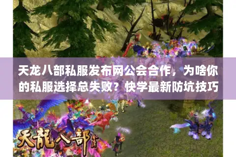 天龙八部私服发布网公会合作，为啥你的私服选择总失败？快学最新防坑技巧