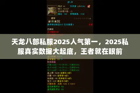 天龙八部私服2025人气第一,2025私服真实数据大起底,王者就在眼前 天龙八部私服2025人气第一,2025私服真实数据大起底,王者就在眼前