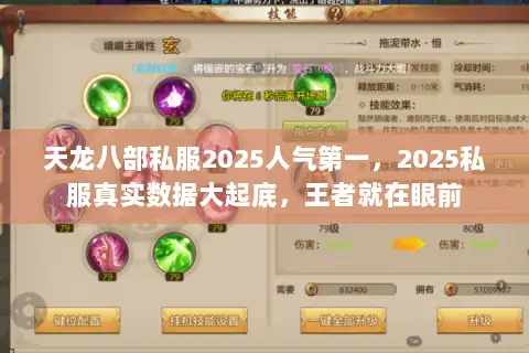 天龙八部私服2025人气第一,2025私服真实数据大起底,王者就在眼前 天龙八部私服2025人气第一,2025私服真实数据大起底,王者就在眼前