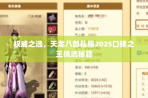 权威之选，天龙八部私服2025口碑之王挑选秘籍