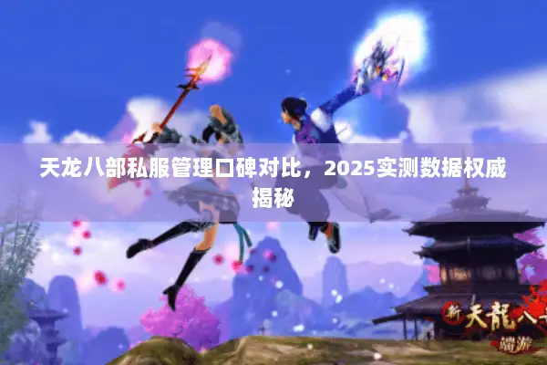 天龙八部私服管理口碑对比，2025实测数据权威揭秘