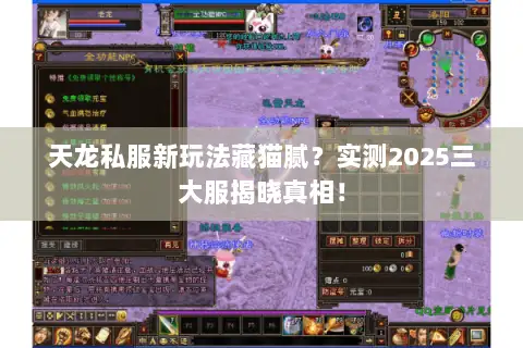 天龙私服新玩法藏猫腻?实测2025三大服揭晓真相! 天龙私服新玩法藏猫腻?实测2025三大服揭晓真相!