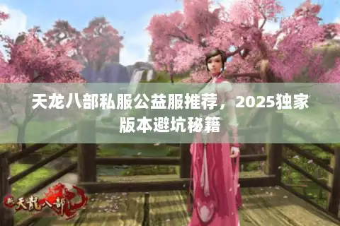 天龙八部私服公益服推荐，2025独家版本避坑秘籍