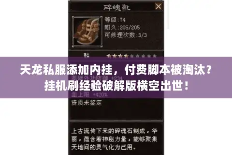 天龙私服添加内挂,付费脚本被淘汰?挂机刷经验破解版横空出世! 天龙私服添加内挂,付费脚本被淘汰?挂机刷经验破解版横空出世!