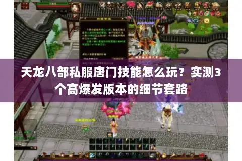 天龙八部私服唐门技能怎么玩?实测3个高爆发版本的细节套路 天龙八部私服唐门技能怎么玩?实测3个高爆发版本的细节套路
