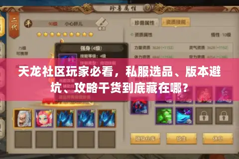 天龙社区玩家必看，私服选品、版本避坑、攻略干货到底藏在哪？