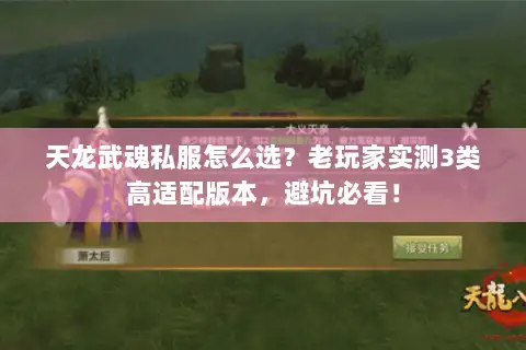 天龙武魂私服怎么选？老玩家实测3类高适配版本，避坑必看！