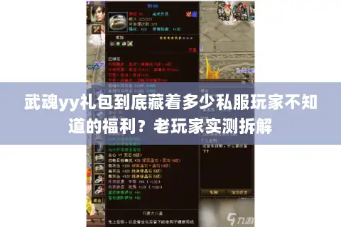 武魂yy礼包到底藏着多少私服玩家不知道的福利?老玩家实测拆解 武魂yy礼包到底藏着多少私服玩家不知道的福利?老玩家实测拆解