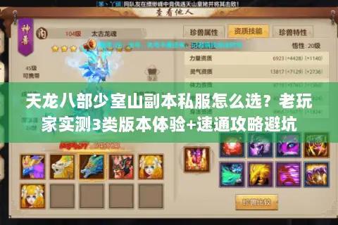天龙八部少室山副本私服怎么选？老玩家实测3类版本体验+速通攻略避坑