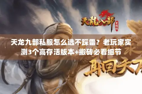 天龙九部私服怎么选不踩雷?老玩家实测3个高存活版本+搬砖必看细节 天龙九部私服怎么选不踩雷?老玩家实测3个高存活版本+搬砖必看细节