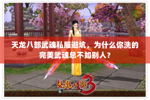 天龙八部武魂私服避坑,为什么你洗的完美武魂总不如别人? 天龙八部武魂私服避坑,为什么你洗的完美武魂总不如别人?