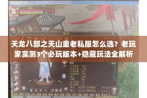 天龙八部之天山童老私服怎么选？老玩家实测3个必玩版本+隐藏玩法全解析