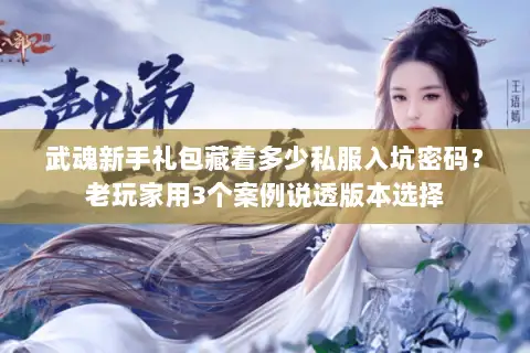 武魂新手礼包藏着多少私服入坑密码？老玩家用3个案例说透版本选择