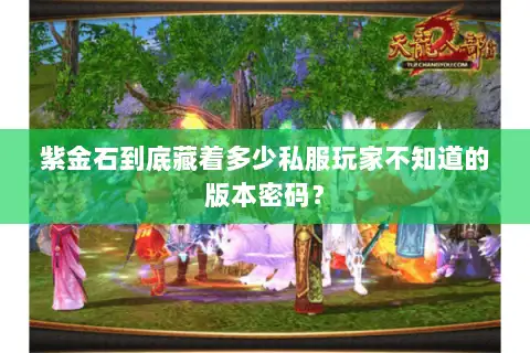 紫金石到底藏着多少私服玩家不知道的版本密码? 紫金石到底藏着多少私服玩家不知道的版本密码?