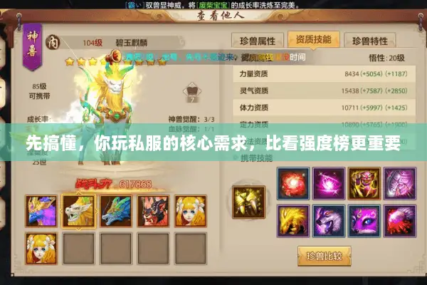 先搞懂，你玩私服的核心需求，比看强度榜更重要