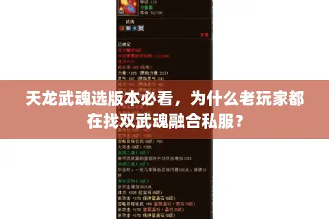 天龙武魂选版本必看，为什么老玩家都在找双武魂融合私服？