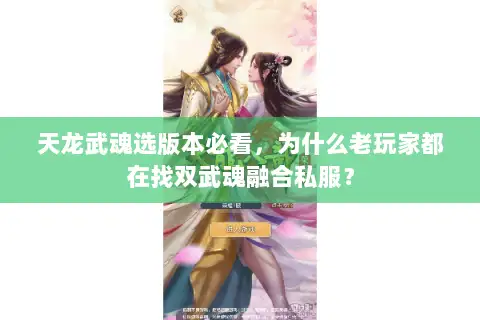 天龙武魂选版本必看，为什么老玩家都在找双武魂融合私服？
