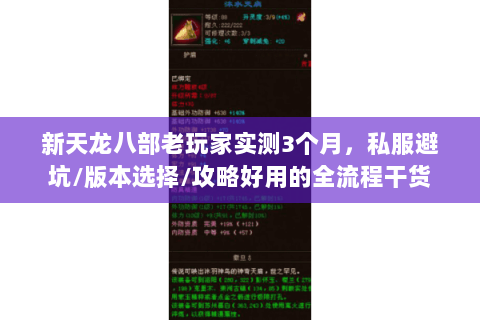 新天龙八部老玩家实测3个月，私服避坑/版本选择/攻略好用的全流程干货