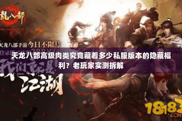 天龙八部高级肉类究竟藏着多少私服版本的隐藏福利?老玩家实测拆解 天龙八部高级肉类究竟藏着多少私服版本的隐藏福利?老玩家实测拆解
