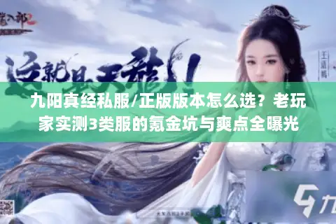 九阳真经私服/正版版本怎么选？老玩家实测3类服的氪金坑与爽点全曝光