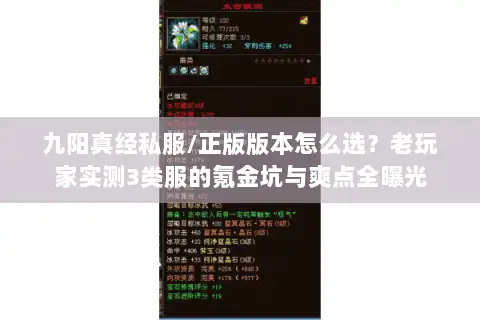 九阳真经私服/正版版本怎么选？老玩家实测3类服的氪金坑与爽点全曝光