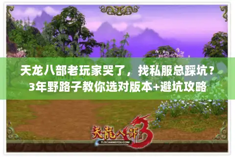 天龙八部老玩家哭了，找私服总踩坑？3年野路子教你选对版本+避坑攻略