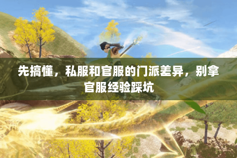先搞懂,私服和官服的门派差异,别拿官服经验踩坑 先搞懂,私服和官服的门派差异,别拿官服经验踩坑