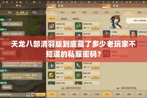 天龙八部清羽版到底藏了多少老玩家不知道的私服密码? 天龙八部清羽版到底藏了多少老玩家不知道的私服密码?
