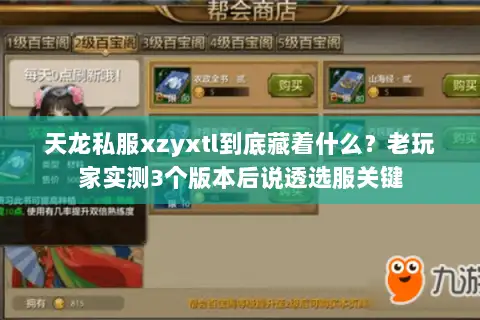 天龙私服xzyxtl到底藏着什么？老玩家实测3个版本后说透选服关键