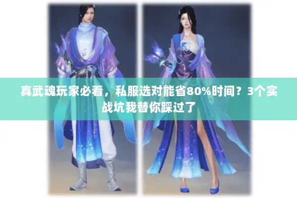 真武魂玩家必看，私服选对能省80%时间？3个实战坑我替你踩过了