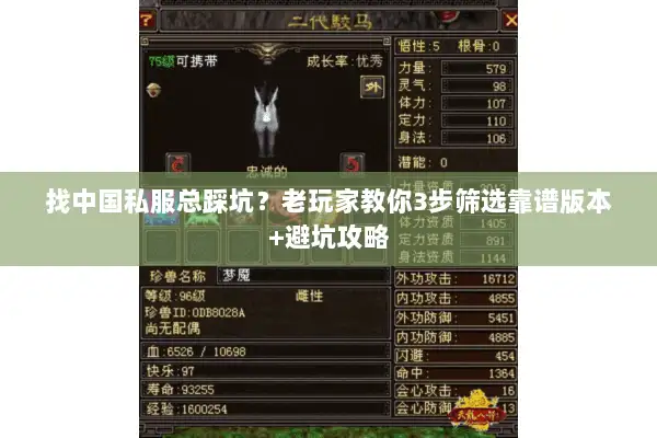 找中国私服总踩坑?老玩家教你3步筛选靠谱版本+避坑攻略 找中国私服总踩坑?老玩家教你3步筛选靠谱版本+避坑攻略