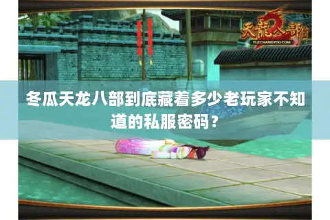 冬瓜天龙八部到底藏着多少老玩家不知道的私服密码？