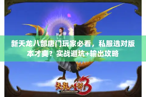新天龙八部唐门玩家必看，私服选对版本才爽？实战避坑+输出攻略