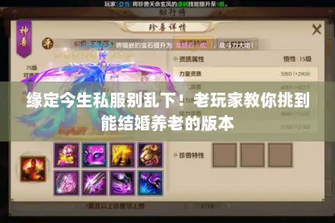 缘定今生私服别乱下！老玩家教你挑到能结婚养老的版本