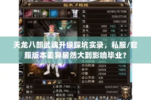 天龙八部武魂升级踩坑实录，私服/官服版本差异居然大到影响毕业？