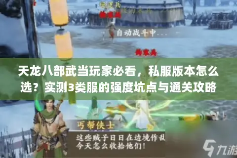 天龙八部武当玩家必看，私服版本怎么选？实测3类服的强度坑点与通关攻略