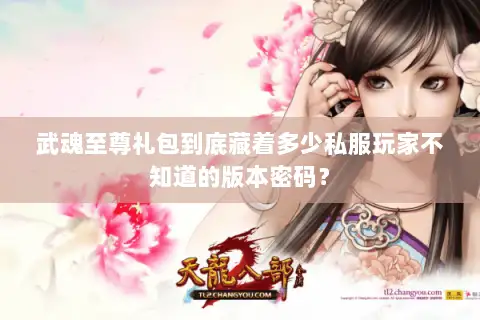 武魂至尊礼包到底藏着多少私服玩家不知道的版本密码? 武魂至尊礼包到底藏着多少私服玩家不知道的版本密码?