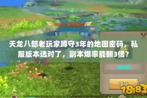 天龙八部老玩家蹲守3年的地图密码，私服版本选对了，副本爆率能翻3倍？