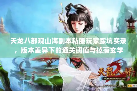 天龙八部观山海副本私服玩家踩坑实录，版本差异下的通关阈值与掉落玄学