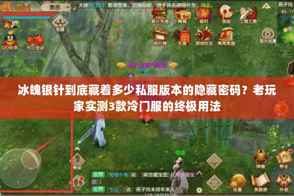 冰魄银针到底藏着多少私服版本的隐藏密码？老玩家实测3款冷门服的终极用法