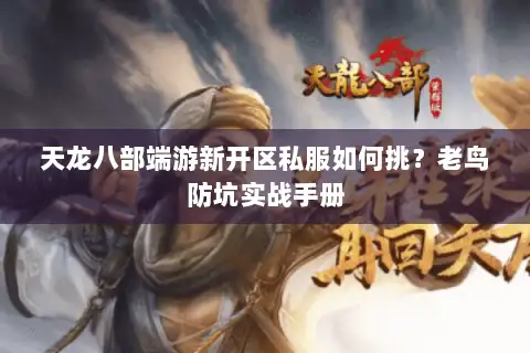 天龙八部端游新开区私服如何挑?老鸟防坑实战手册 天龙八部端游新开区私服如何挑?老鸟防坑实战手册